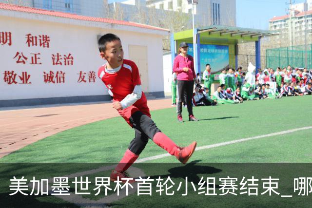 美加墨世界杯首轮小组赛结束 哪支球队最令人失望？