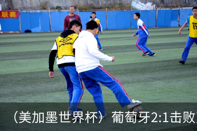 （美加墨世界杯）葡萄牙2:1击败克罗地亚 C罗获世界杯淘汰赛首球